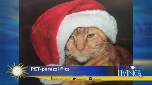FCL - Wednesday December 23rd: Pet-Parazzi (Sponsored by Affiliated Veterinary Specialists)