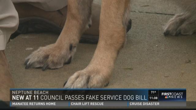 Neptune Beach city council could pass law making fake service dogs