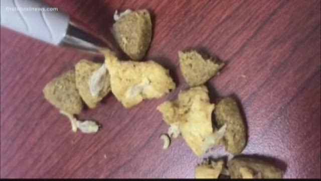 Jacksonville man finds ‘maggots’ in dog food | firstcoastnews.com