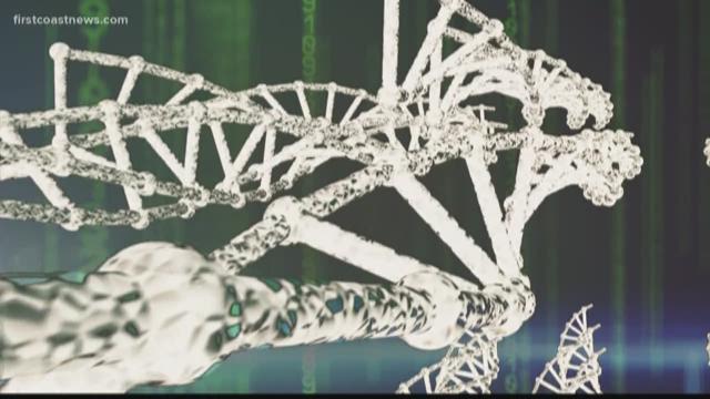 how accurate are dna tests firstcoastnews com